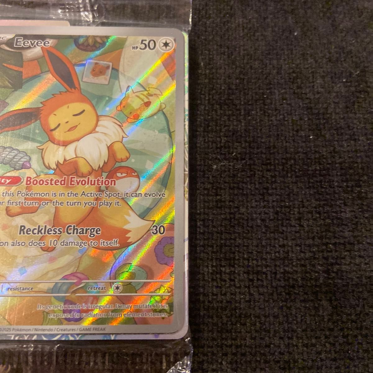 イーブイ 英語 海外 プロモ テラスタルフェス ポケモンカード イーブイ 英語 海外 プロモ テラスタルフェス ポケモンカード