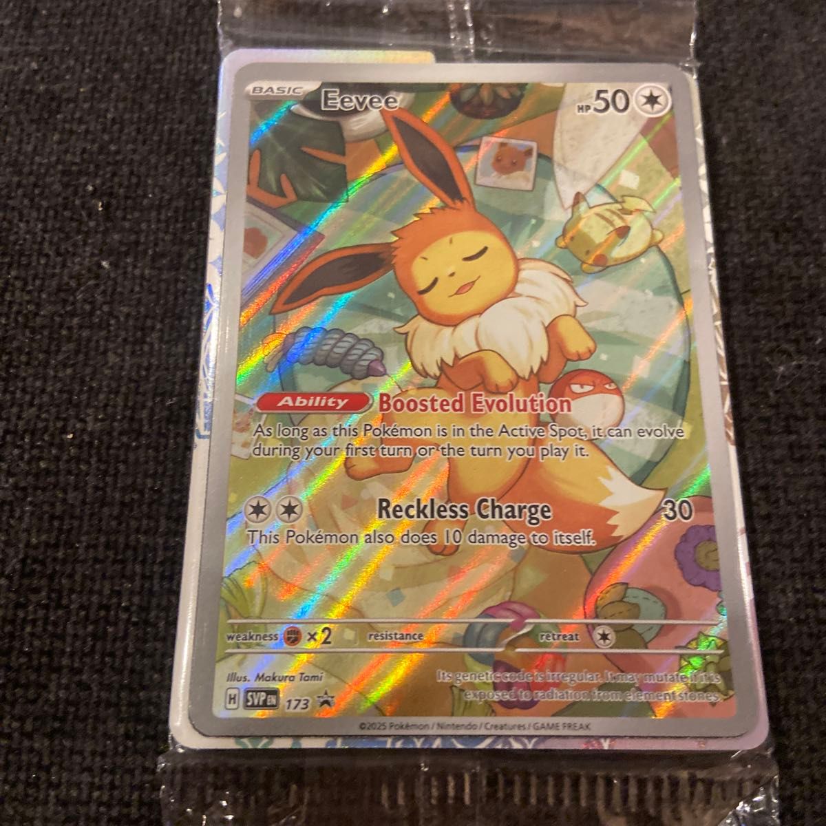 イーブイ 英語 海外 プロモ テラスタルフェス ポケモンカード イーブイ 英語 海外 プロモ テラスタルフェス ポケモンカード