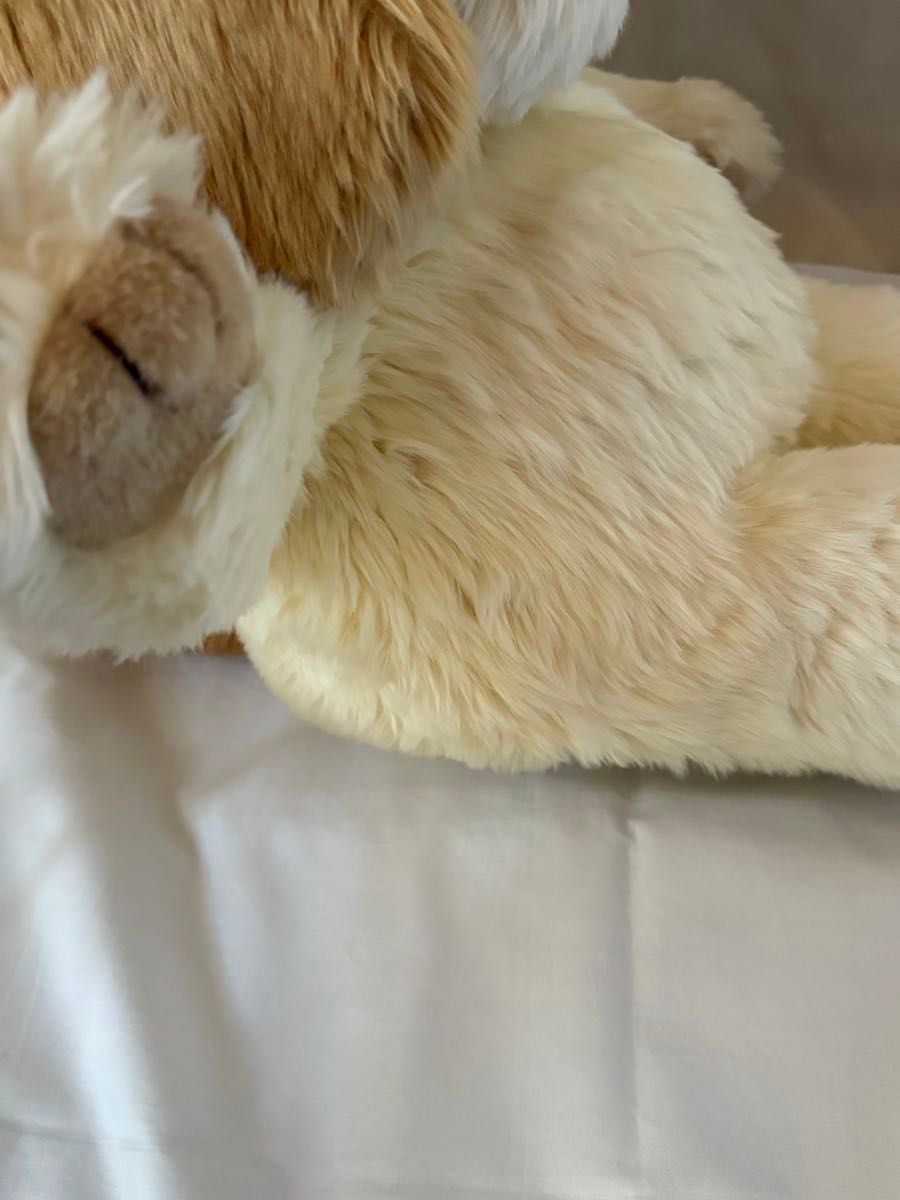 ファースト社 RALPH GENTLE DOG #4061-45 ラルフ(M) 犬の ファースト社 RALPH GENTLE DOG #4061-45 ラルフ(M) 犬の
