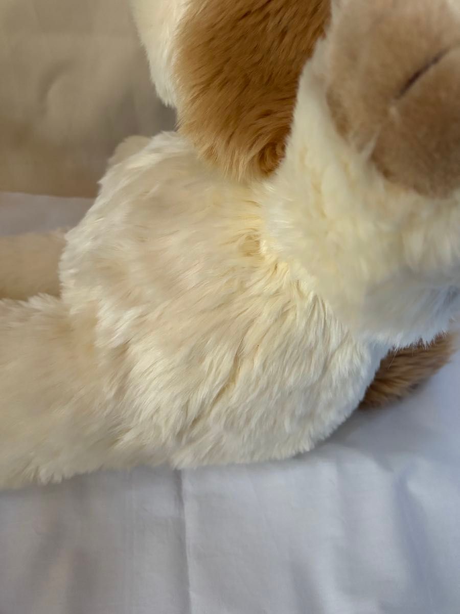 ファースト社 RALPH GENTLE DOG #4061-45 ラルフ(M) 犬の ファースト社 RALPH GENTLE DOG #4061-45 ラルフ(M) 犬の