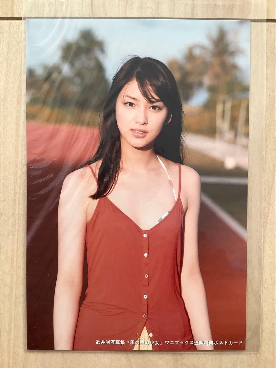 武井咲 写真集「風の中の少女」未開封新品 特典DVD・限定ポスト 武井咲 写真集「風の中の少女」未開封新品 特典DVD・限定ポスト
