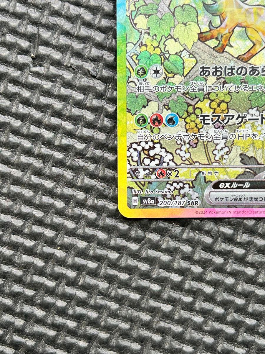 テラスタルフェスex リーフィアex SAR【美品】|Yahoo!フリマ テラスタルフェスex リーフィアex SAR【美品】|Yahoo!フリマ