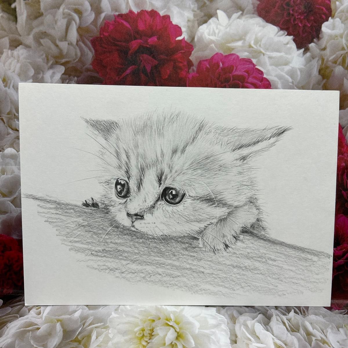A5 マンチカン 子猫 鉛筆画 原画|Yahoo!フリマ(旧PayPayフリマ) A5 マンチカン 子猫 鉛筆画 原画|Yahoo!フリマ(旧PayPayフリマ)