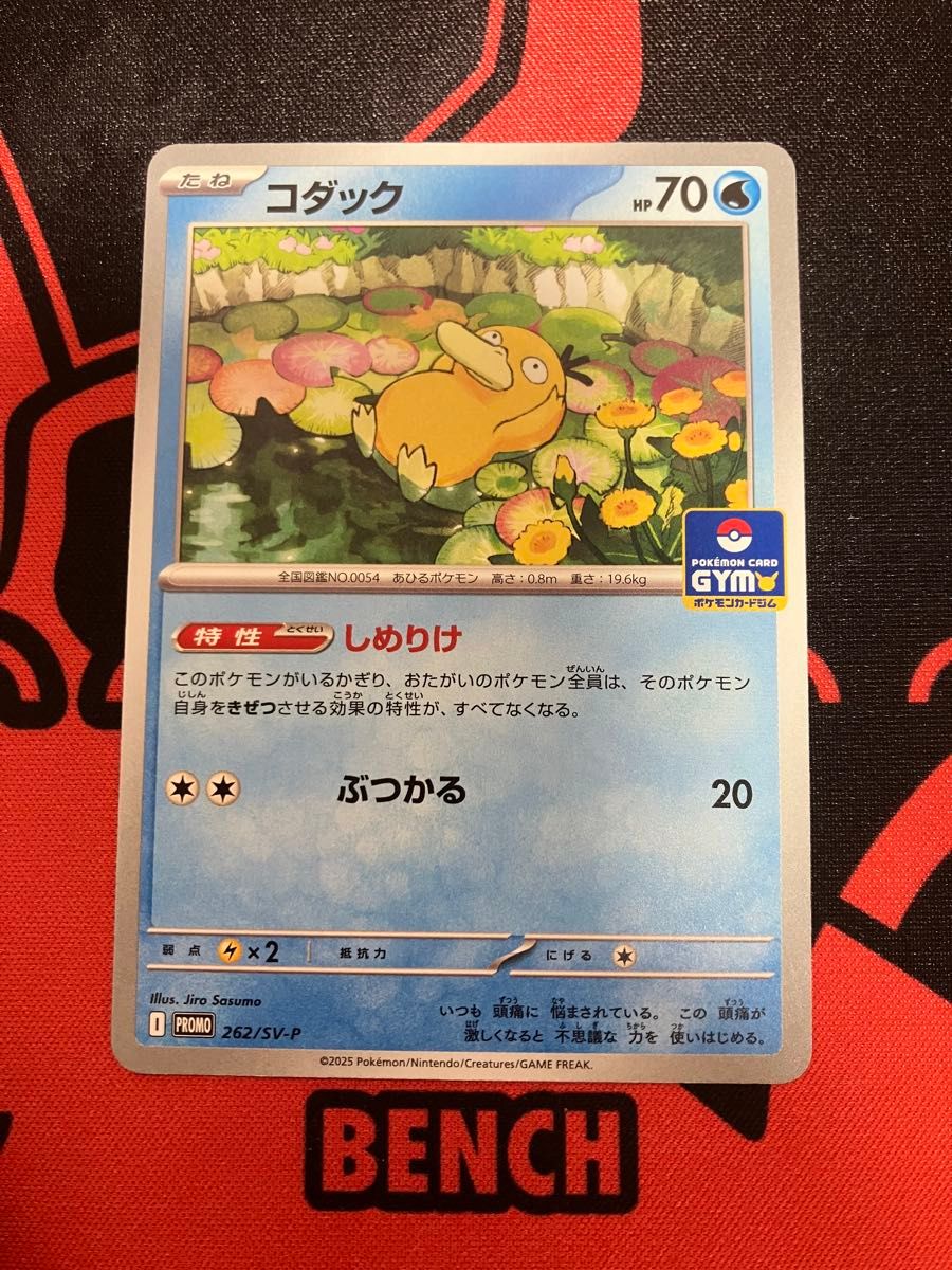 即日発送 コダック しめりけ ジムプロモカード|Yahoo!フリマ 即日発送 コダック しめりけ ジムプロモカード|Yahoo!フリマ