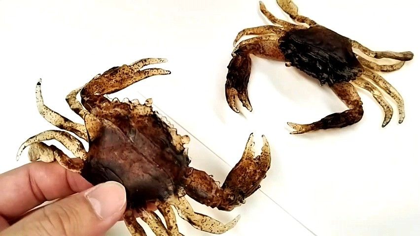 リアルカニ ソフトルアー 30g 10cm 2個 タコ チヌ クロダイ 石鯛 グレ シーバス ヒラメ コチ ソイ タコエギ