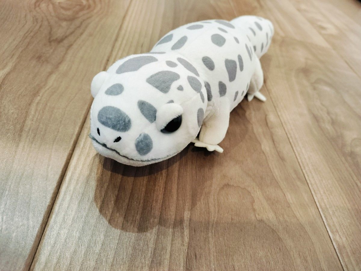 レオパ ぬいぐるみ レオパのきいちゃん おともだち|Yahoo レオパ ぬいぐるみ レオパのきいちゃん おともだち|Yahoo