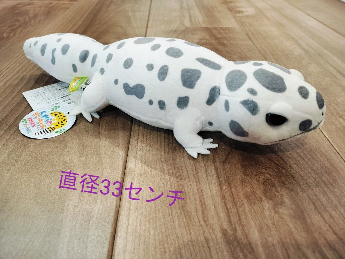 レオパ ぬいぐるみ レオパのきいちゃん おともだち|Yahoo レオパ ぬいぐるみ レオパのきいちゃん おともだち|Yahoo