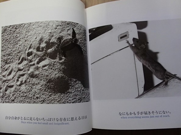 &●「The Blue Day Book ブルーデイブック」●誰でも落ち込む日がある。●B・T・グリーヴ:著/石田亨:訳●竹書房:刊●_画像4