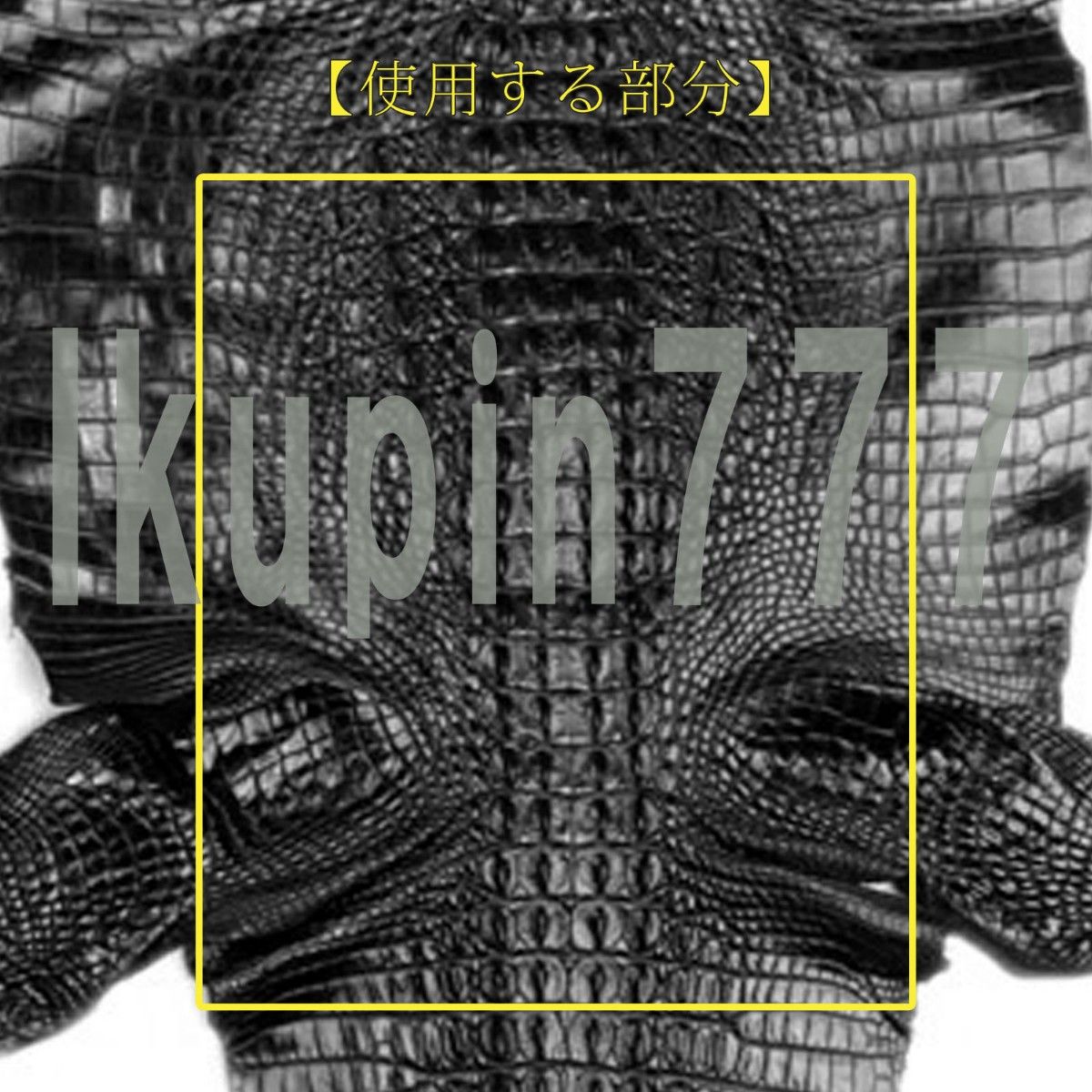 Y03 クロコダイル 長財布 メンズ レディース 新品未使用 Y03 クロコダイル 長財布 メンズ レディース 新品未使用