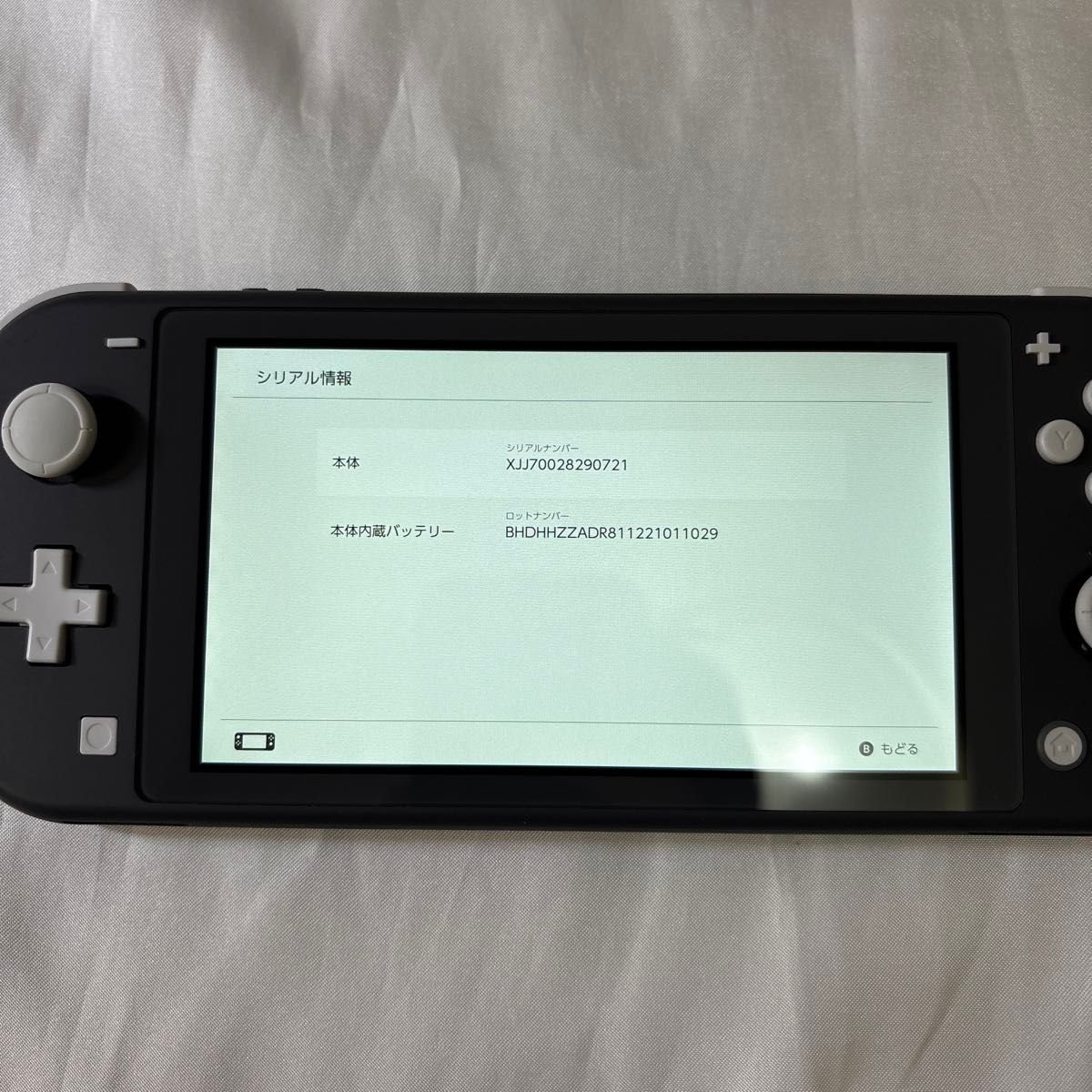 Nintendo Switch Lite ニンテンドー スイッチライト グレー Nintendo Switch Lite ニンテンドー スイッチライト グレー
