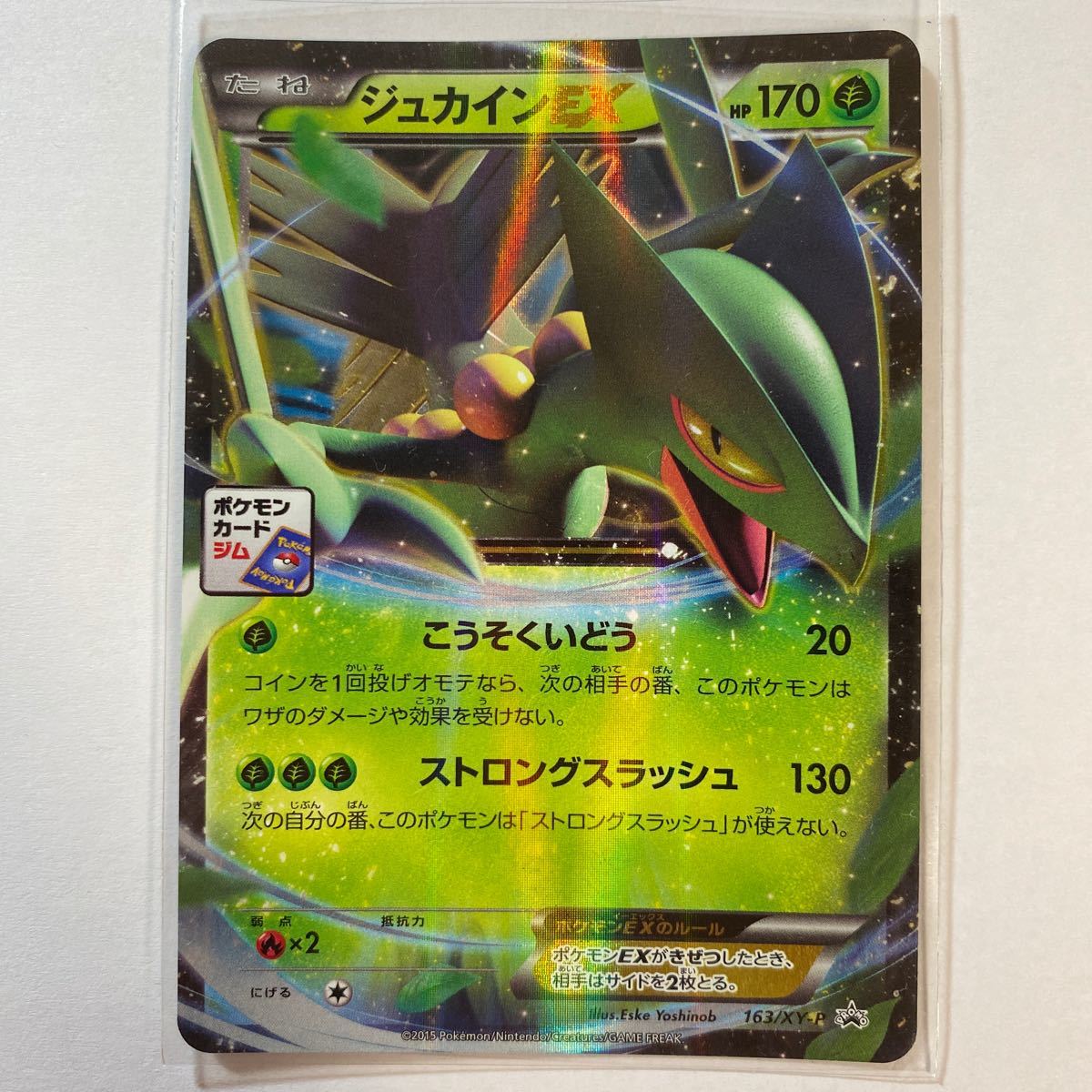 ヤフオク ポケモンカードxy プロモ ジュカインex ポケモン