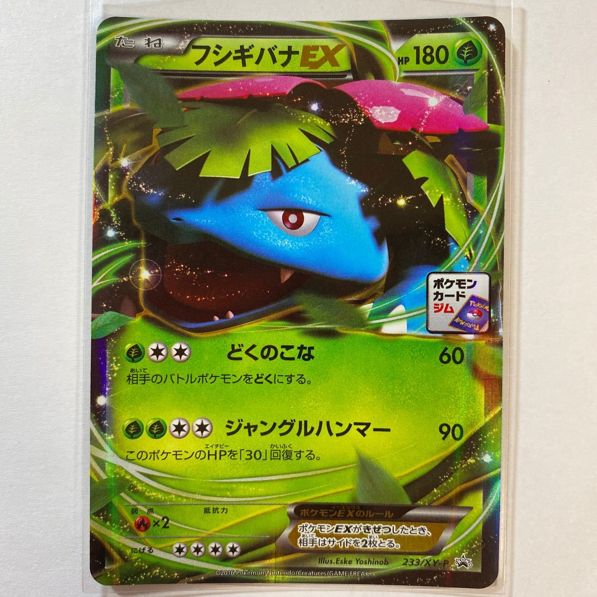 ヤフオク ポケモンカードxy プロモ フシギバナex イラスト ヤフオク ポケモンカードxy プロモ フシギバナex イラスト