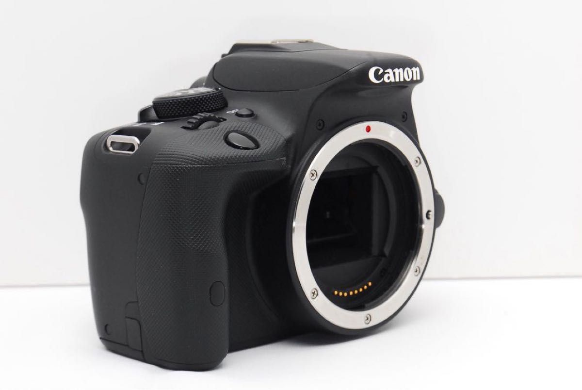 Canon一眼デビューに Kiss X7一式 お散歩 スマホ転送 高画質 Canon一眼デビューに Kiss X7一式 お散歩 スマホ転送 高画質