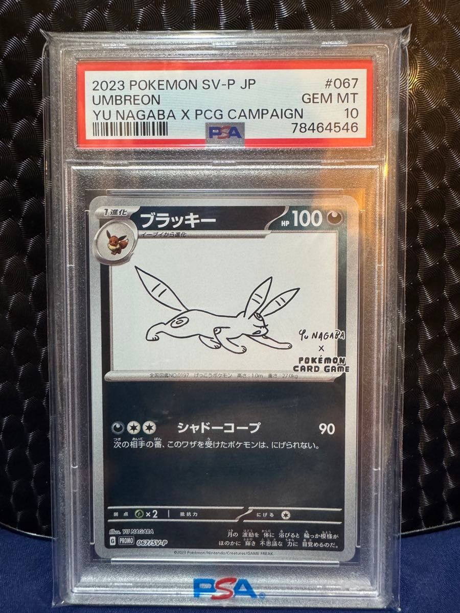 ポケモンカードゲーム ナガバ PSA10 ブラッキー|Yahoo!フリマ ポケモンカードゲーム ナガバ PSA10 ブラッキー|Yahoo!フリマ