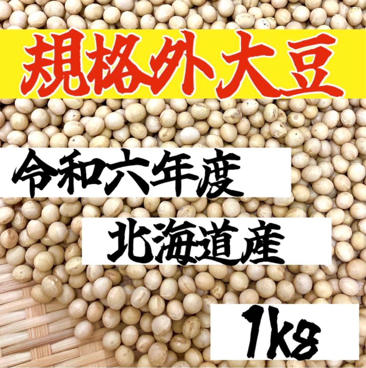 規格外】令和六年度 北海道産 大豆 ［1kg］ 乾燥豆 豆｜Yahoo
