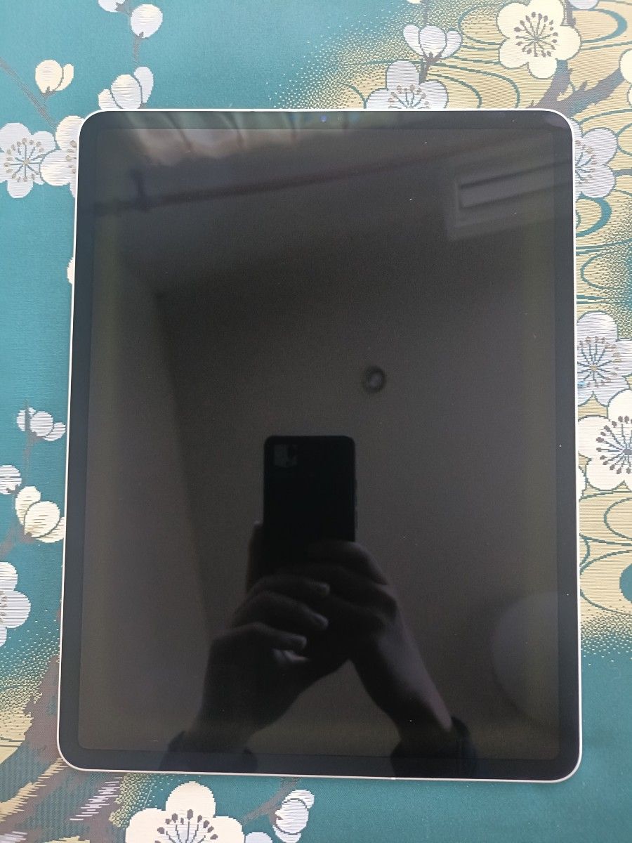 iPad Pro 12 9インチ512GB シルバー Wi-Fi + Cellular+ iPad Pro 12 9インチ512GB シルバー Wi-Fi + Cellular+