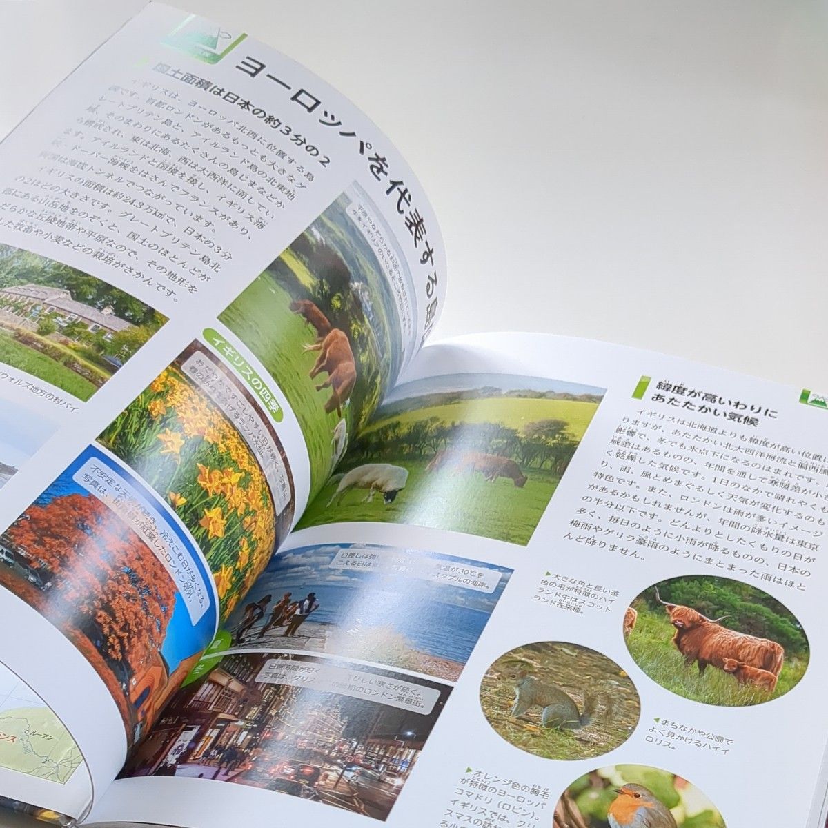 2冊セット】現地取材 世界のくらし 16イギリス 17 オランダ 2冊セット】現地取材 世界のくらし 16イギリス 17 オランダ