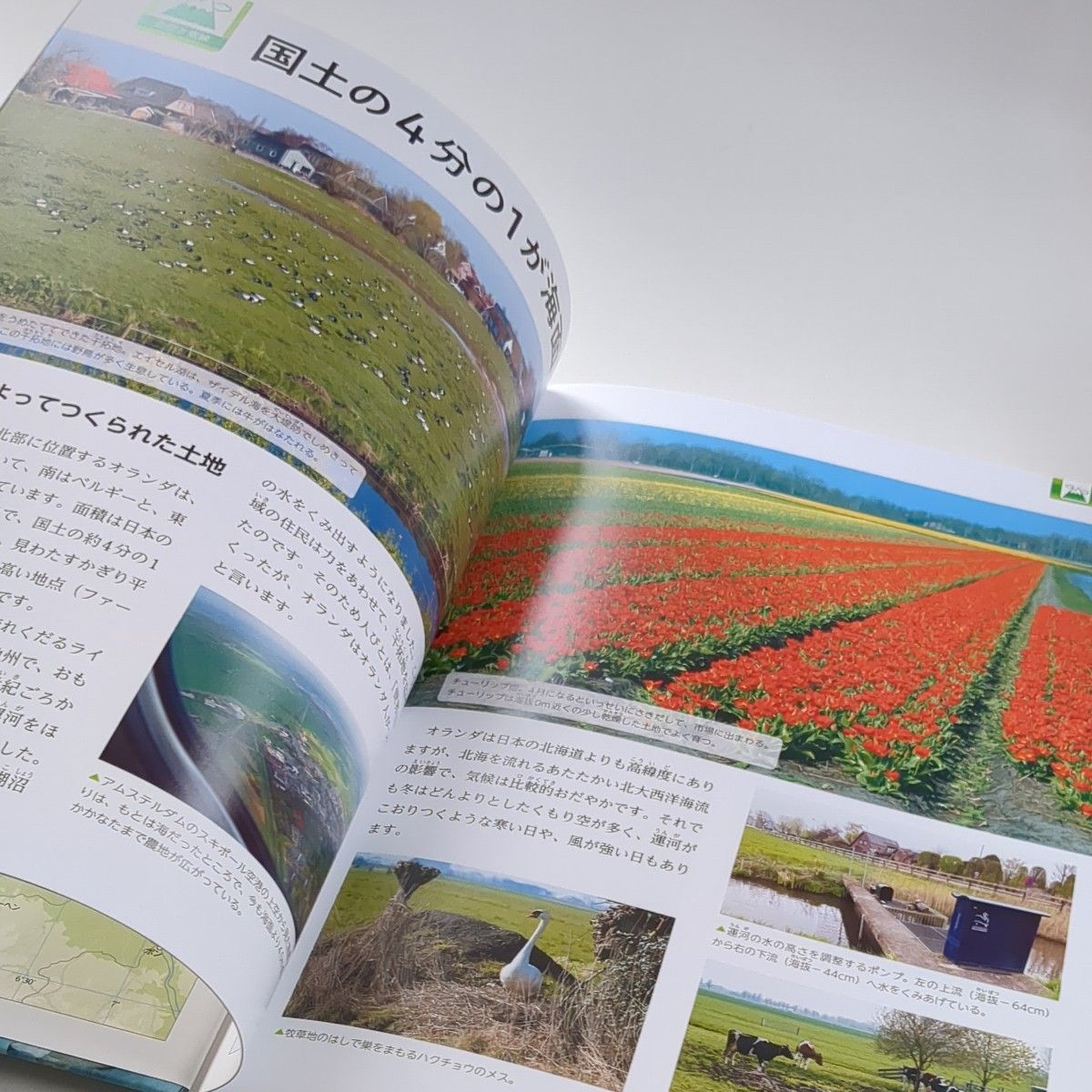 2冊セット】現地取材 世界のくらし 16イギリス 17 オランダ 2冊セット】現地取材 世界のくらし 16イギリス 17 オランダ