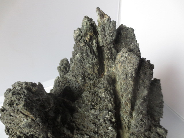【艸】　千仏石　島型石　中型水石　時代石　水石　31センチ　　17apl1_画像7