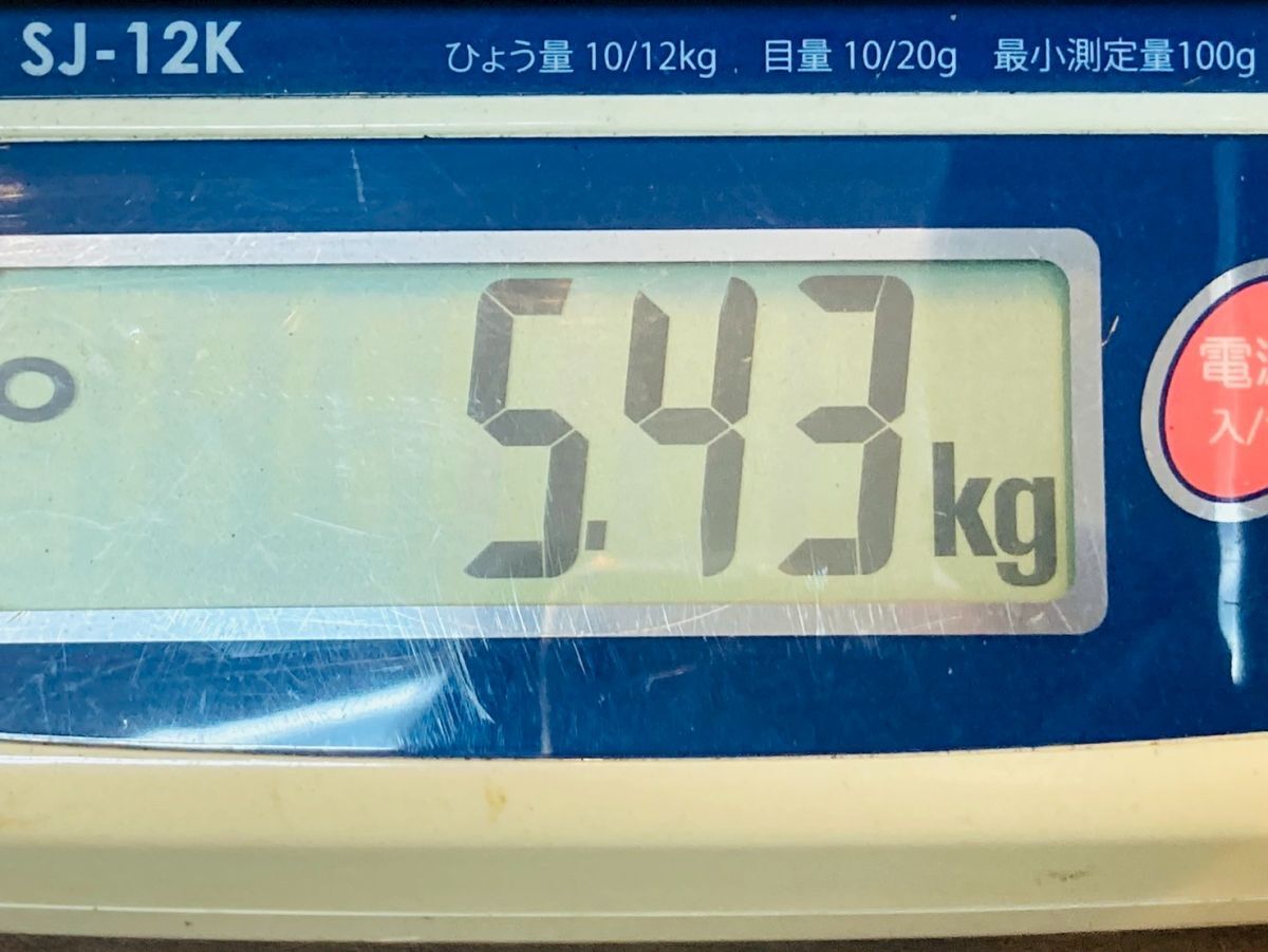 kms09▽日本古銭 メダル 約5kg以上 大量おまとめ 未選別 硬貨 kms09▽日本古銭 メダル 約5kg以上 大量おまとめ 未選別 硬貨
