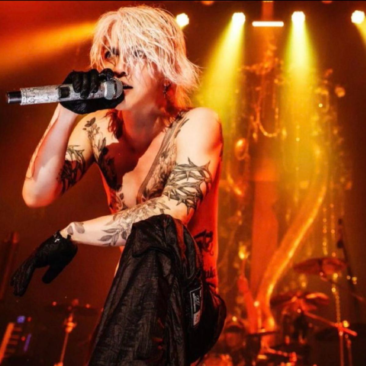 HYDE VAMPS ピック 本人使用 L'Arc〜en〜Ciel ハイド ラルク HYDE VAMPS ピック 本人使用 L'Arc〜en〜Ciel ハイド ラルク