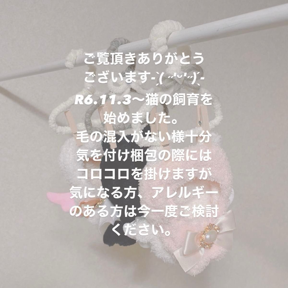 オーダーページ ちびぐるみ ぬい服 着ぐるみ 10cm うさぎ・いぬ オーダーページ ちびぐるみ ぬい服 着ぐるみ 10cm うさぎ・いぬ