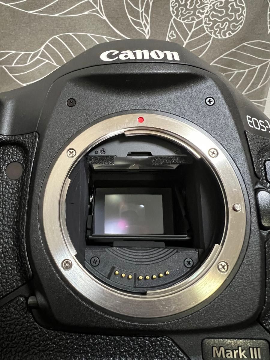 Canon EOS-1D Mark III 本体と付属品|Yahoo!フリマ(旧PayPay Canon EOS-1D Mark III 本体と付属品|Yahoo!フリマ(旧PayPay