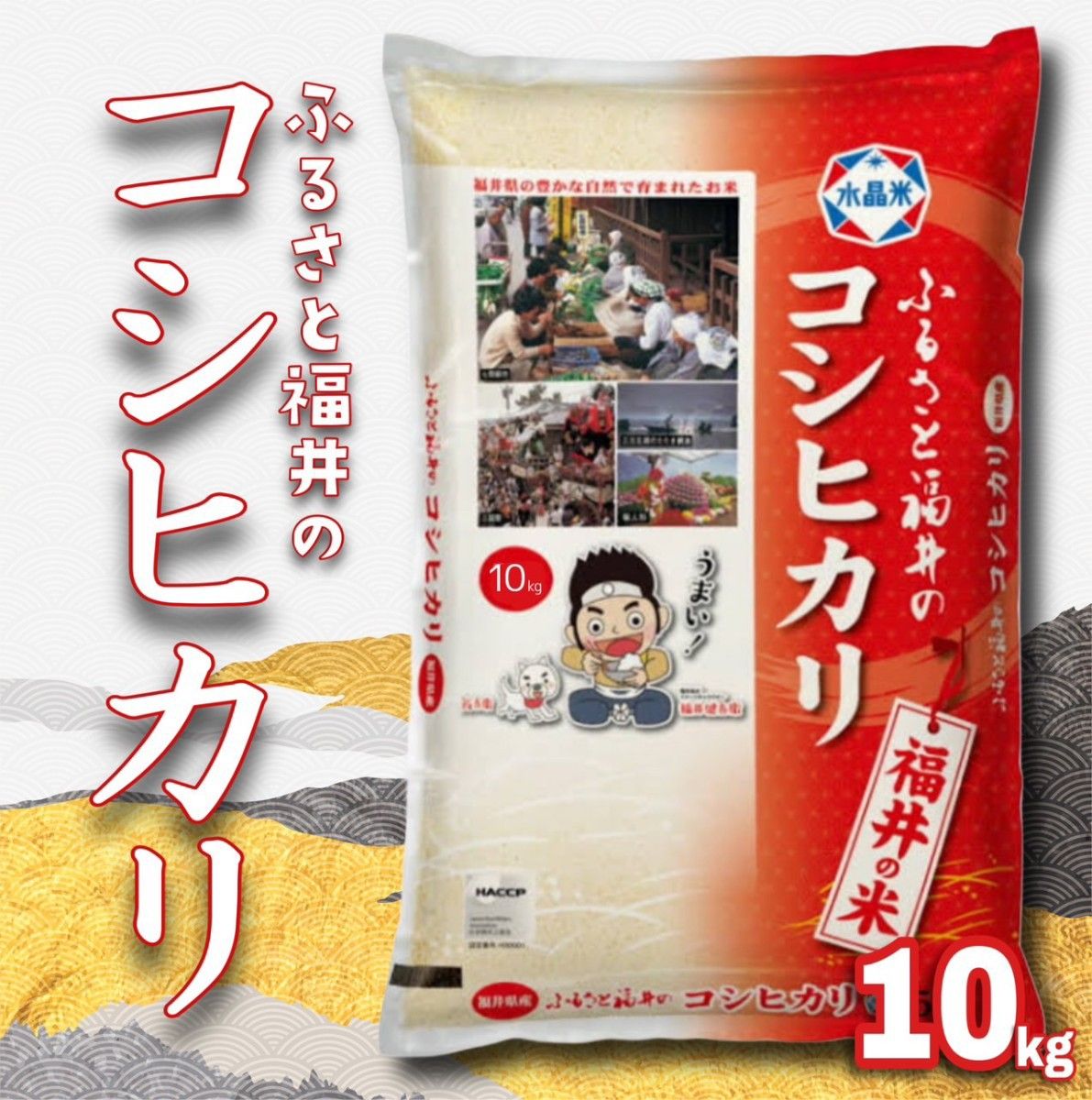 福井県産 コシヒカリ10kg 令和6年産単一原料米 4月中旬精米 白米 福井県産 コシヒカリ10kg 令和6年産単一原料米 4月中旬精米 白米