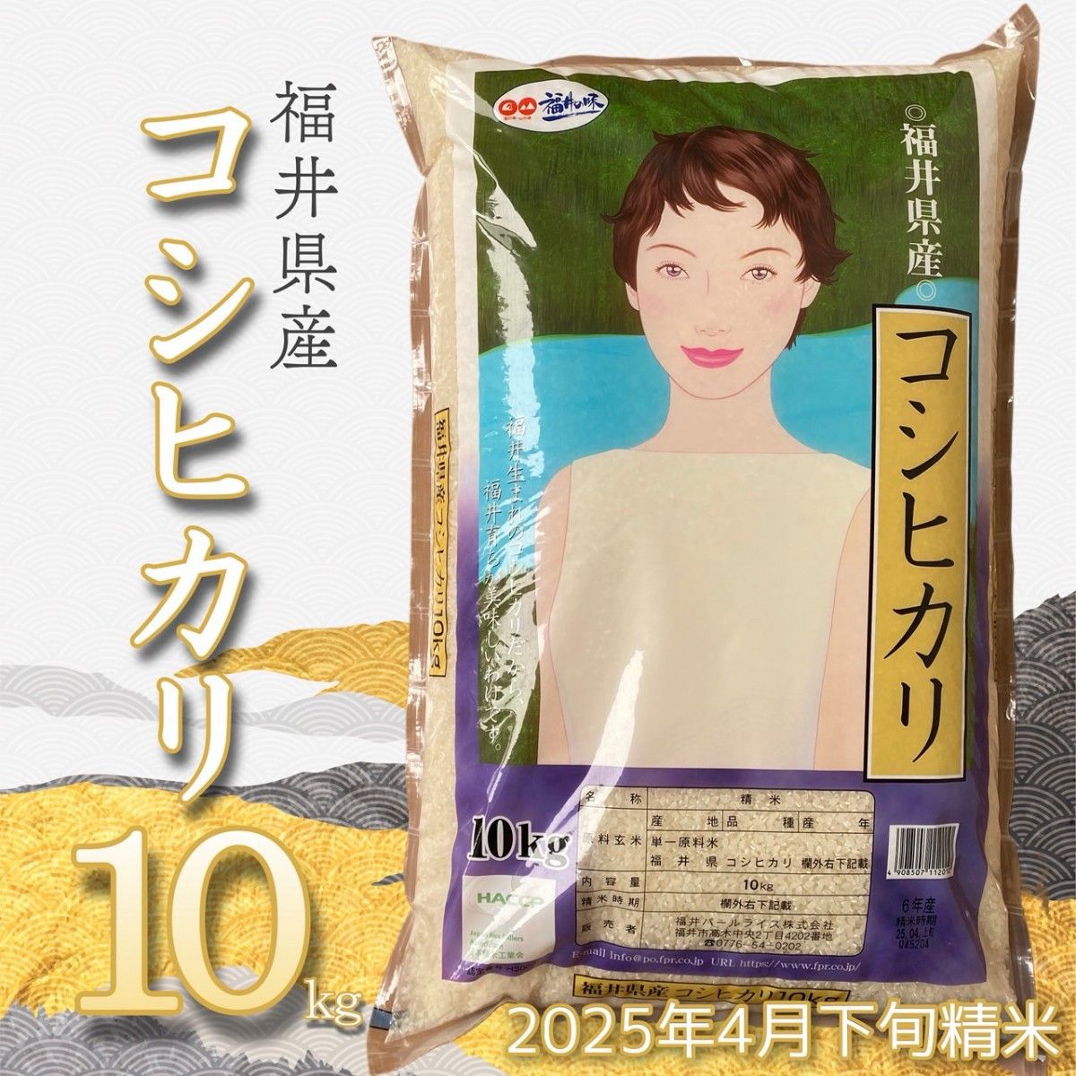 福井県産 コシヒカリ10kg 令和6年産単一原料米 4月下旬精米 白米 福井県産 コシヒカリ10kg 令和6年産単一原料米 4月下旬精米 白米