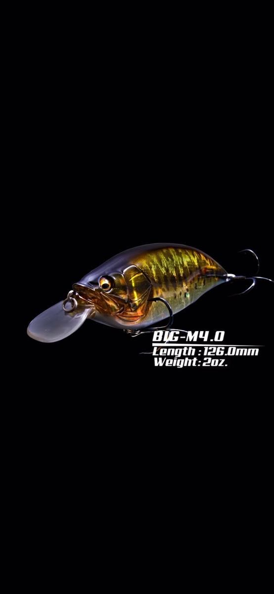 BIG-M(ビッグエム) 4.0 塾 長シャッド