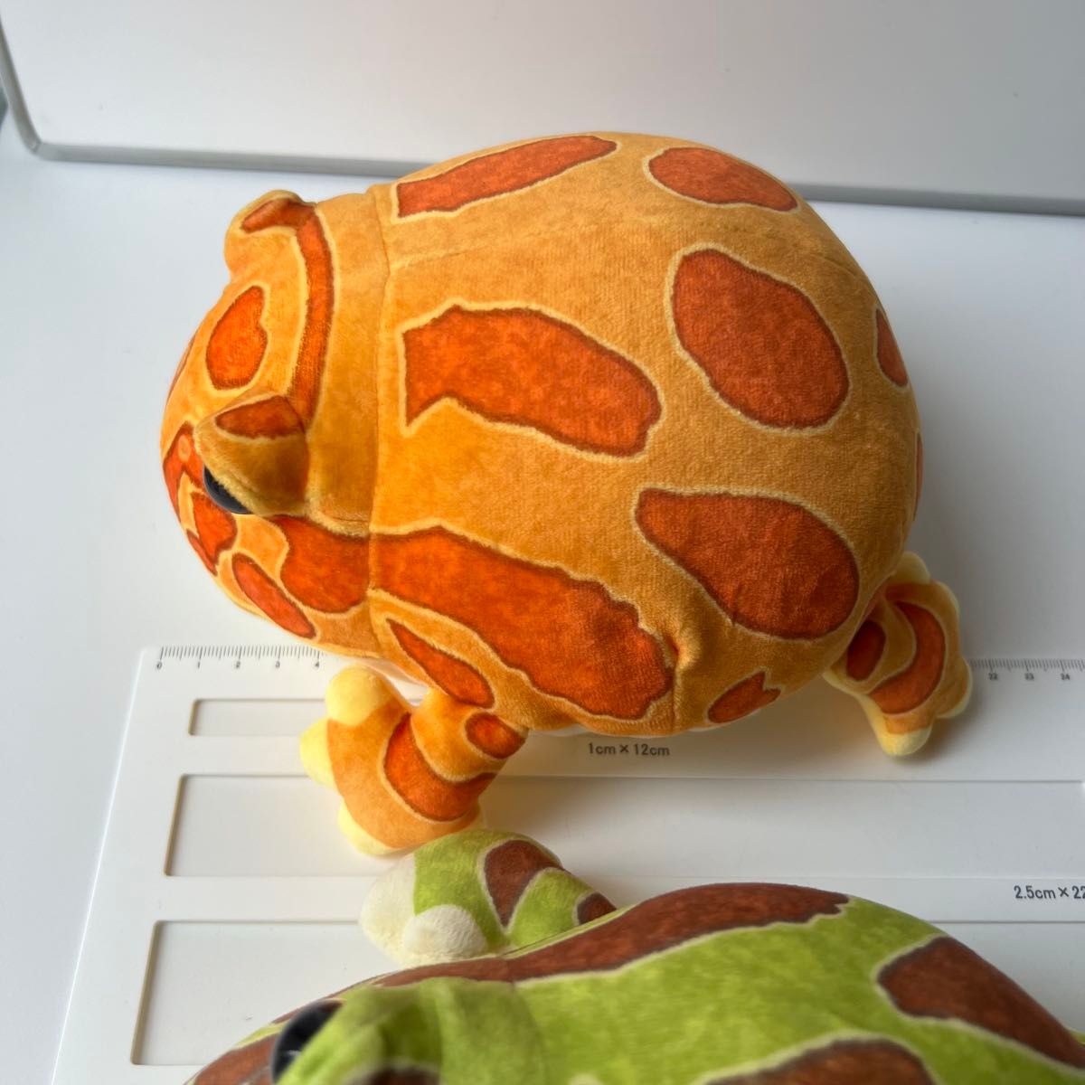 くじ景品 ツノガエル ぬいぐるみ ツノガエルくじ カエル CUTE くじ景品 ツノガエル ぬいぐるみ ツノガエルくじ カエル CUTE
