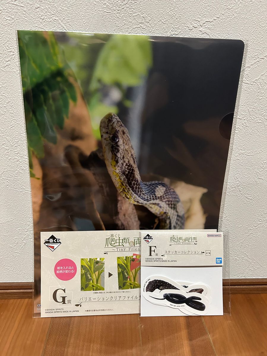 一番くじ爬虫類&両生類 B賞 D賞 おまけ品|Yahoo!フリマ(旧 一番くじ爬虫類&両生類 B賞 D賞 おまけ品|Yahoo!フリマ(旧