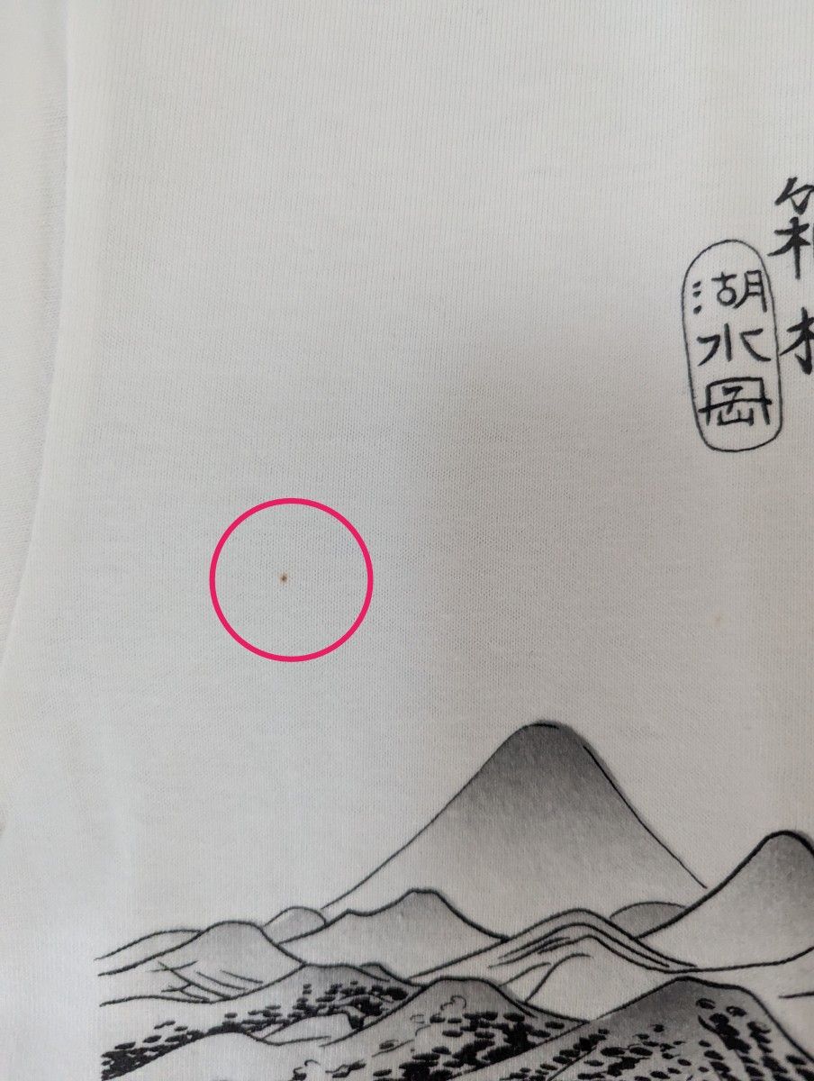 10 東海道五拾三次之内箱根湖水図 XLサイズ 浮世絵 山水画 T 10 東海道五拾三次之内箱根湖水図 XLサイズ 浮世絵 山水画 T