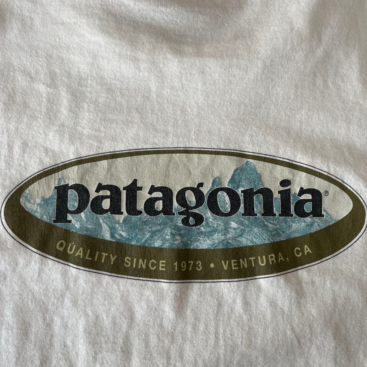 90s USA製 Patagonia パタゴニア オーガニックコットンTシャツ 90s USA製 Patagonia パタゴニア オーガニックコットンTシャツ