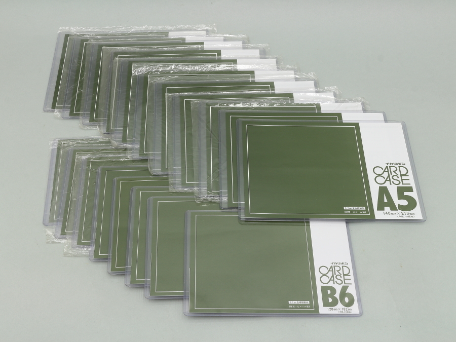 イカリボシ CARD CASE カードケース B6 A5 未使用の画像1