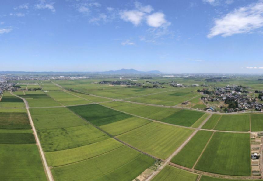 20キロ 令和6年新潟県従来コシヒカリ 落札後精米 籾殻保管 特A 20キロ 令和6年新潟県従来コシヒカリ 落札後精米 籾殻保管 特A