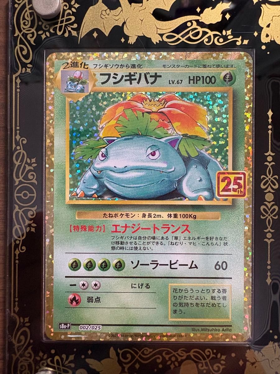 フシギバナ リザードン カメックス 25th 御三家 ローダー付き フシギバナ リザードン カメックス 25th 御三家 ローダー付き