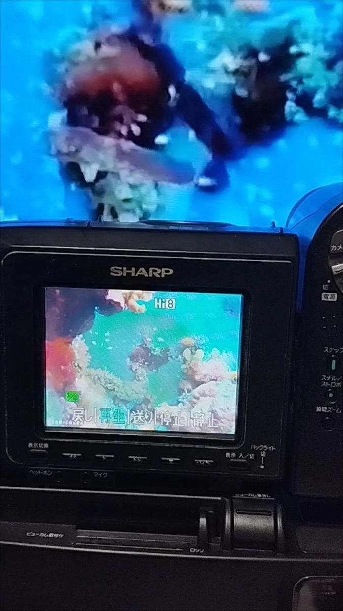 シャープ Hi8 8ミリビデオカメラVL-HL100 動作良好|Yahoo シャープ Hi8 8ミリビデオカメラVL-HL100 動作良好|Yahoo