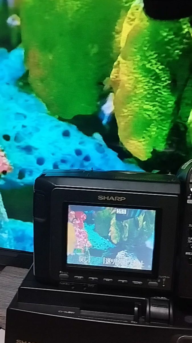 シャープ Hi8 8ミリビデオカメラVL-HL50 動作良好|Yahoo シャープ Hi8 8ミリビデオカメラVL-HL50 動作良好|Yahoo
