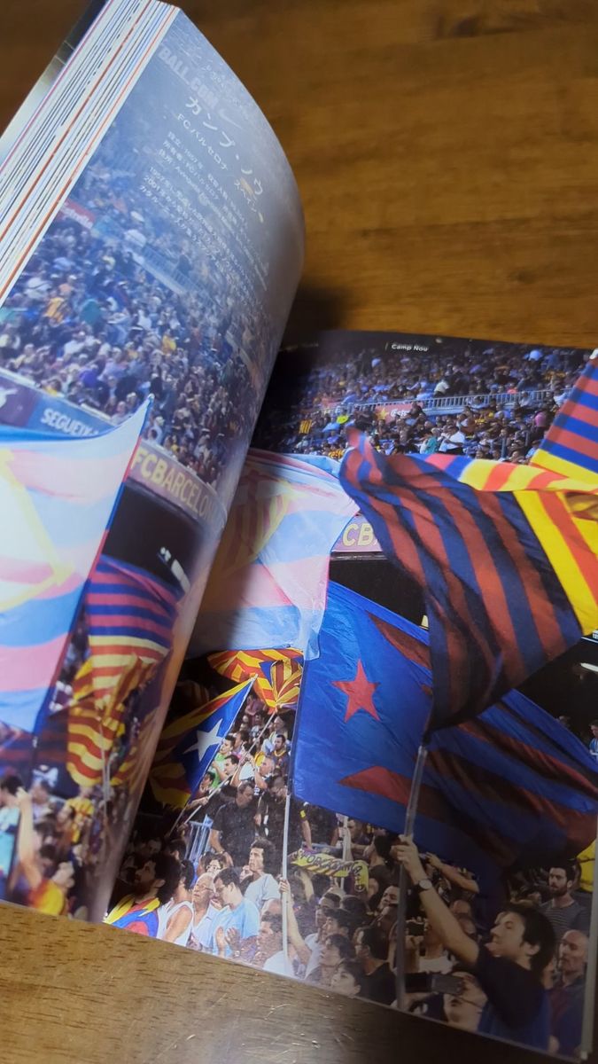 サッカー本3冊セット。将棋でサッカーが面白くなる本。ドイツサッカーを観に行こう!。死ぬまでに行きたい欧州サッカースタジアム巡礼。