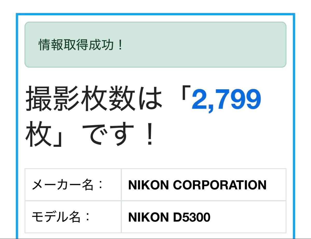 Nikon D5300 ダブルレンズ カメラバッグ付 ニコン 一眼レフ Nikon D5300 ダブルレンズ カメラバッグ付 ニコン 一眼レフ