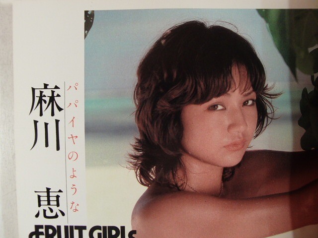 平凡パンチ別冊◇岩崎良美/麻川恵/芽樹あやこ/丸山花梨/麻吹淳子 平凡パンチ別冊◇岩崎良美/麻川恵/芽樹あやこ/丸山花梨/麻吹淳子