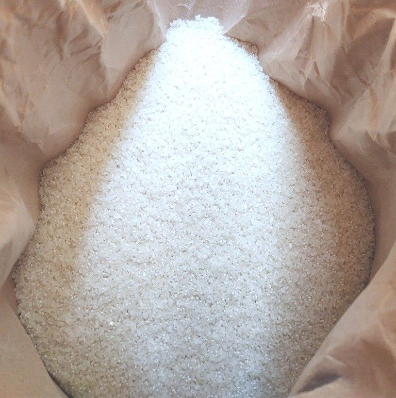 新米 青森県産 はれわたり 20kg 一等米 発送前精米 農薬節減米 新米 青森県産 はれわたり 20kg 一等米 発送前精米 農薬節減米