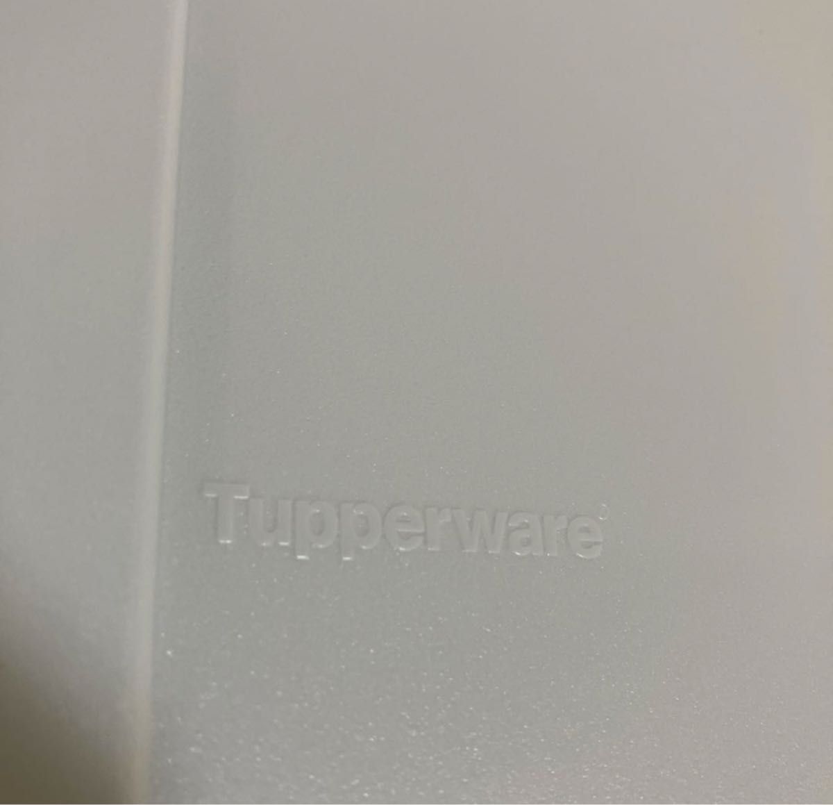 Tupperware タッパーウェア マルチオーガナイザー ドア付き 2個 Tupperware タッパーウェア マルチオーガナイザー ドア付き 2個
