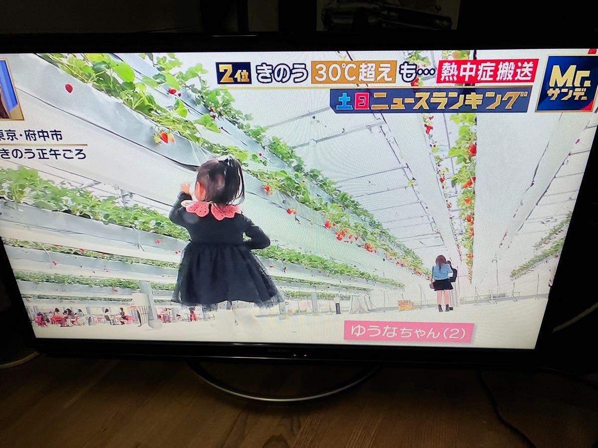 シャープ 32V型 液晶テレビ AQUOS LC-32W5 ハイビジョン 外付HDD シャープ 32V型 液晶テレビ AQUOS LC-32W5 ハイビジョン 外付HDD