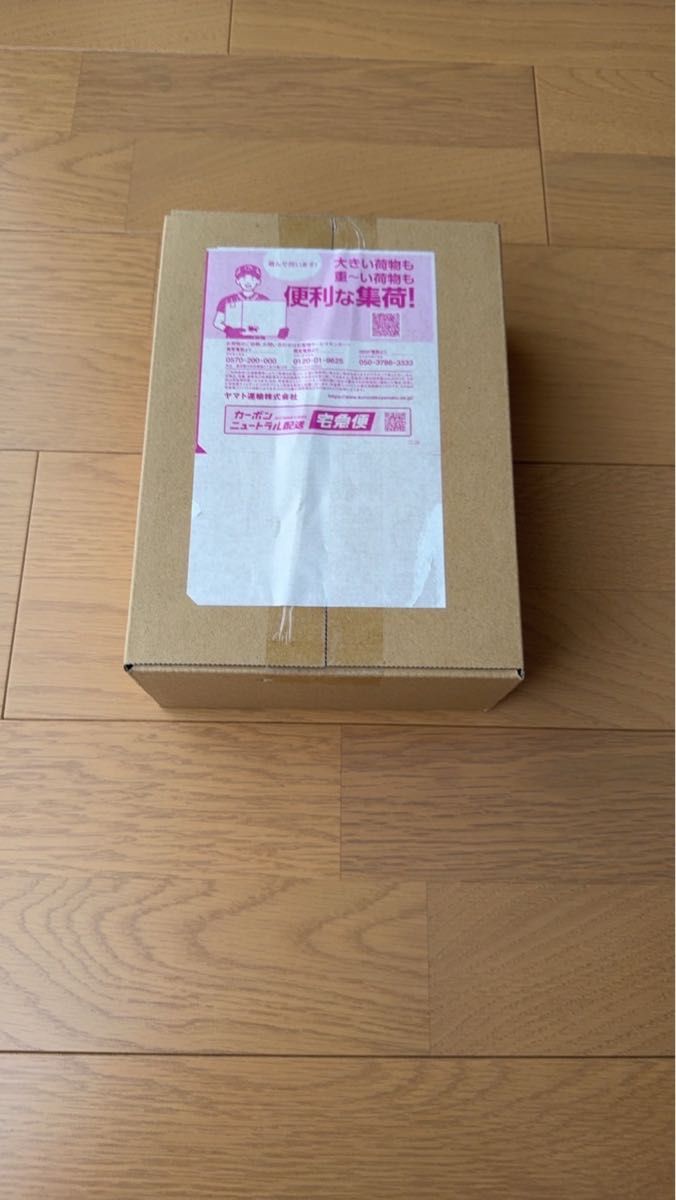 熱風のアリーナ 1ボックス ポケモンセンターオンライン当選品 熱風のアリーナ 1ボックス ポケモンセンターオンライン当選品
