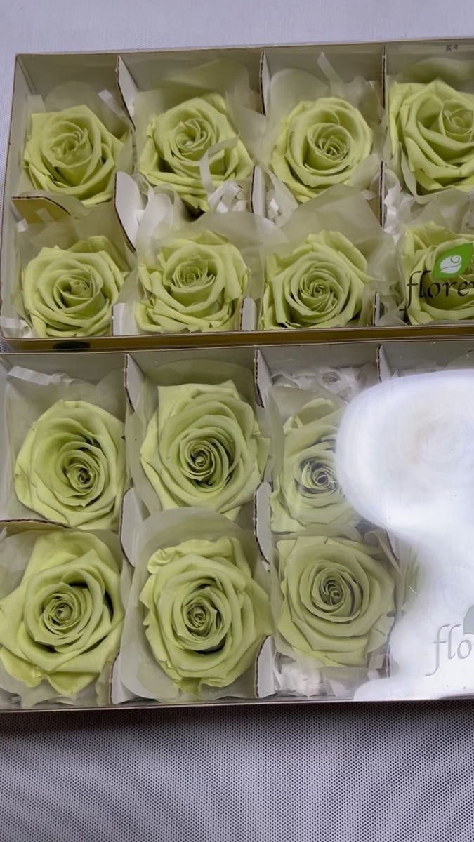 【訳あり特価】プリザーブドフラワー バラ 6箱セット florever