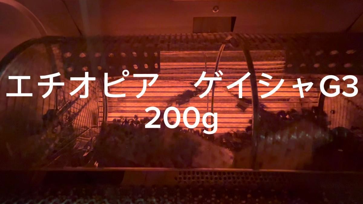 エチオピア ゲイシャ G3 200g 自家焙煎珈琲 セール中