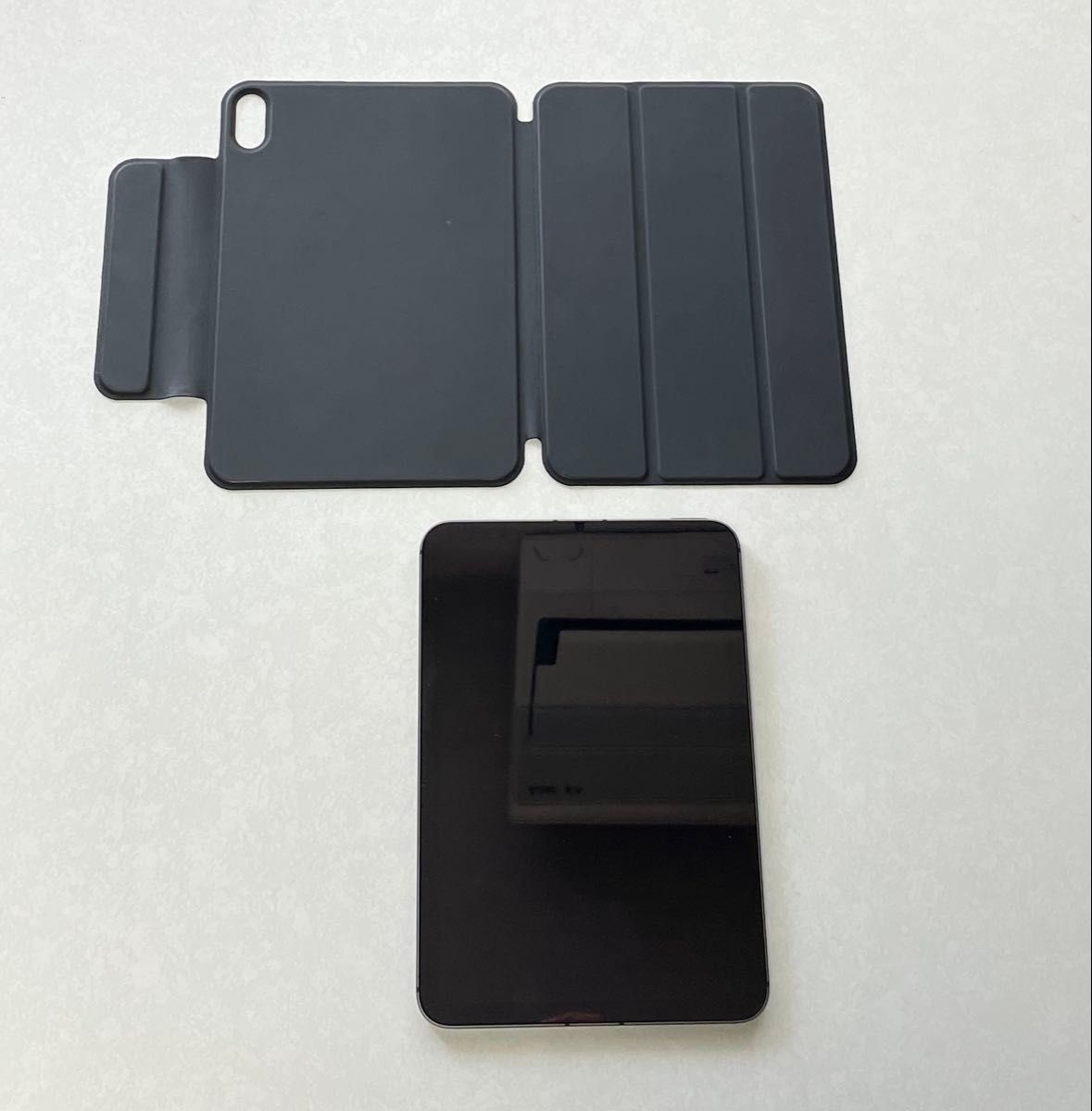 iPad mini 第6世代 Cellularモデル 64GB ケース付 スペース iPad mini 第6世代 Cellularモデル 64GB ケース付 スペース