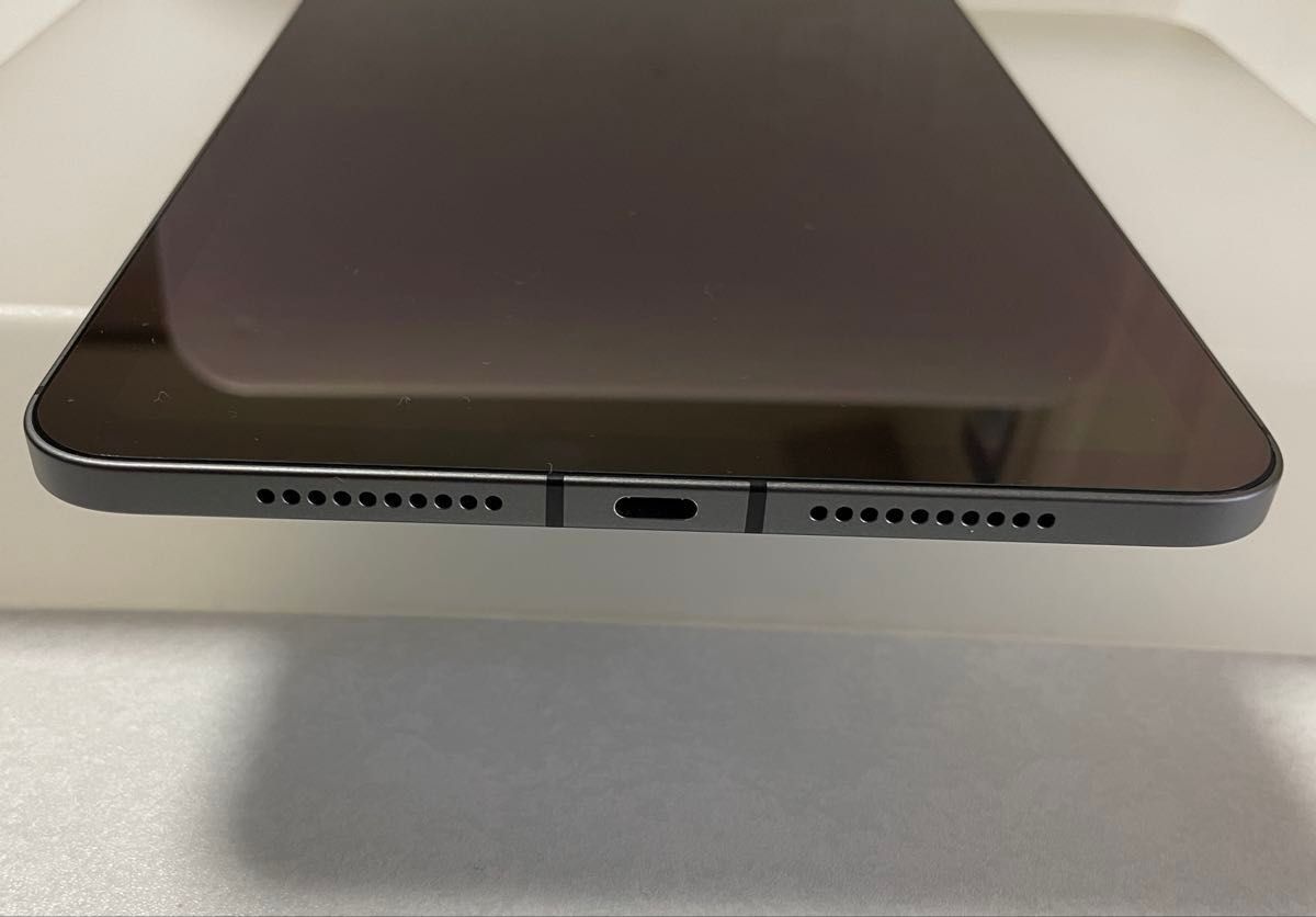 iPad mini 第6世代 Cellularモデル 64GB ケース付 スペース iPad mini 第6世代 Cellularモデル 64GB ケース付 スペース
